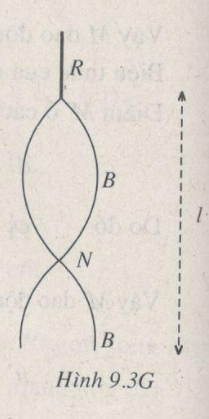 Giải bài tập SBT Vật lý 12 bài 9: Sóng dừng