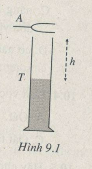 Giải bài tập SBT Vật lý 12 bài 9: Sóng dừng