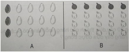 Giải vở bài tập Toán 2 bài 117: Một phần năm