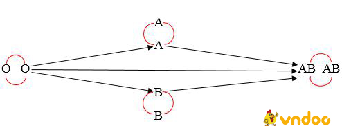 Giải bài tập SGK Sinh học 8 bài 15: Đông máu và nguyên tắc truyền máu