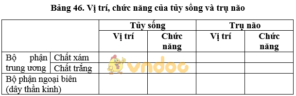 Giải bài tập SGK Sinh học 8 bài 46: Trụ não, tiểu não, não trung gian