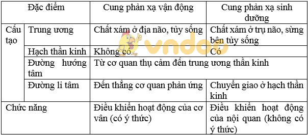 Giải bài tập SGK Sinh học 8 bài 48: Hệ thần kinh sinh dưỡng