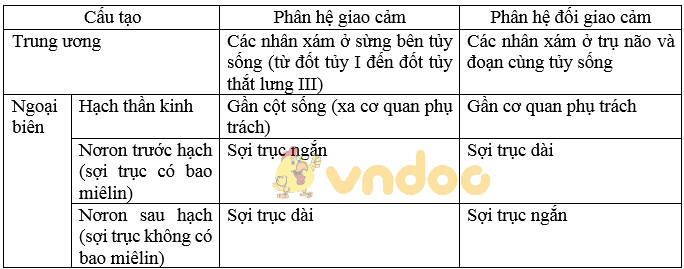 Giải bài tập SGK Sinh học 8 bài 48: Hệ thần kinh sinh dưỡng