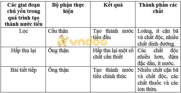 Giải bài tập SGK Sinh học 8 bài 66: Ôn tập - Tổng kết