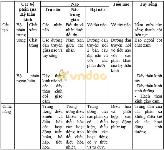 Giải bài tập SGK Sinh học 8 bài 66: Ôn tập - Tổng kết