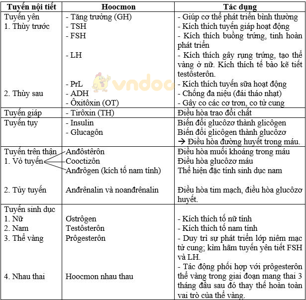 Giải bài tập SGK Sinh học 8 bài 66: Ôn tập - Tổng kết