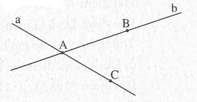 Bài tập cuối tuần môn Toán lớp 6