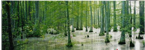 Giải bài tập SGK Địa lý 8 bài 21: Con người và môi trường địa lí