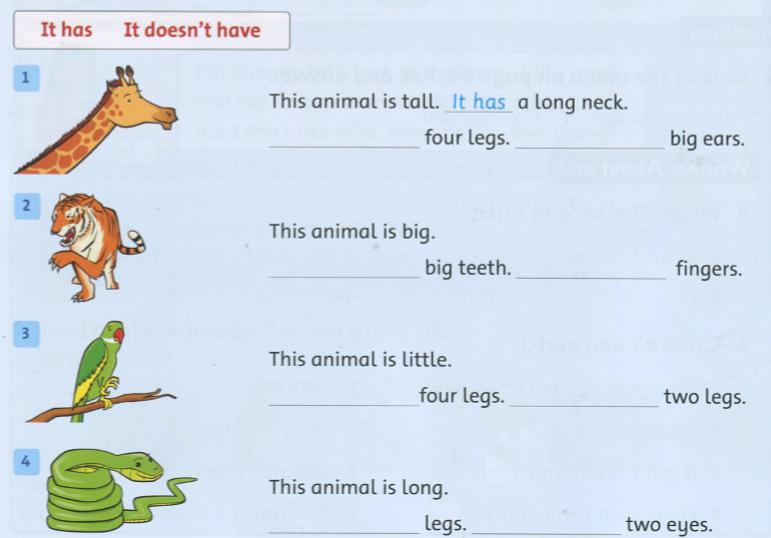 Giải bài tập tiếng Anh lớp 2