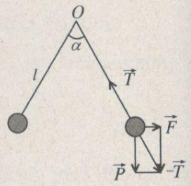 Giải bài tập SBT Vật lý 11 bài 1