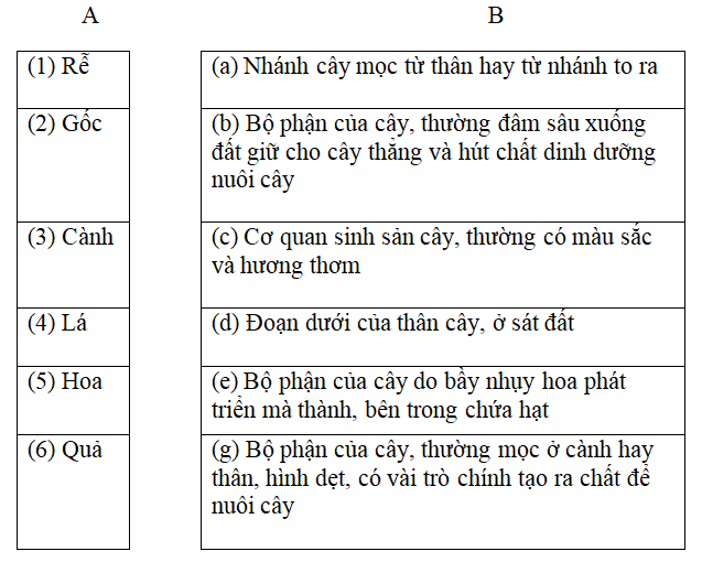 Bài kiểm tra cuối tuần môn Tiếng Việt lớp 2 - Tuần 29