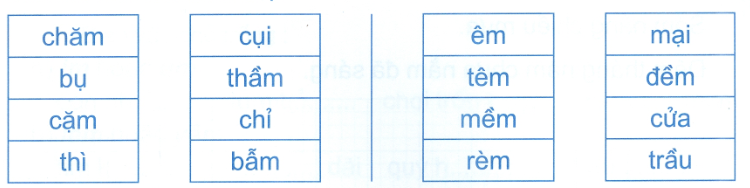 Đề kiểm tra cuối tuần Tiếng Việt lớp 1: Tuần 13 - Đề 1