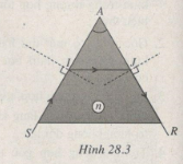 Giải bài tập SBT Vật lý 11 bài 28