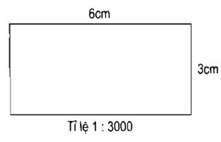 Giải vở bài tập Toán 5 bài 29