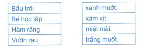 Đề kiểm tra Tuần 15 Tiếng Việt lớp 1 - Đề số 2