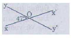 Giải bài tập SGK Toán lớp 7 bài 1: Hai góc đối đỉnh