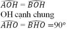 Giải bài tập SGK Toán lớp 7 bài 5: Trường hợp bằng nhau thứ ba của tam giác góc - cạnh - góc (g.c.g)