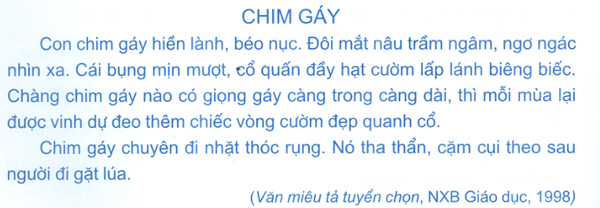 Đề kiểm tra cuối tuần Tiếng Việt lớp 1: Tuần 26 - Đề 2