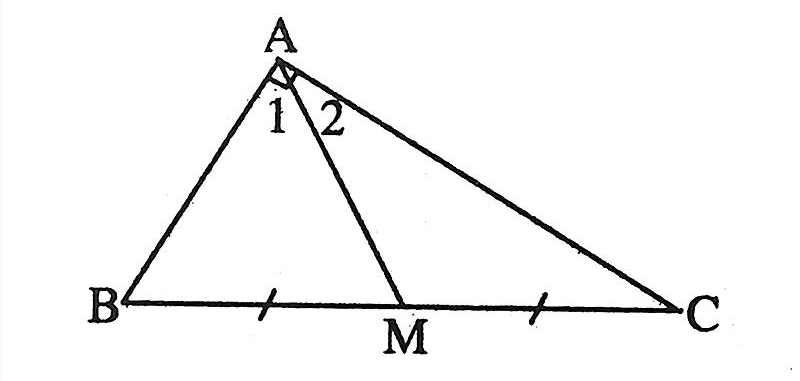 đường trung tuyến nhập tam giác vuông