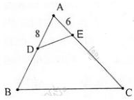 Giải bài tập SGK Toán lớp 8 bài 7: Trường hợp đồng dạng thứ ba