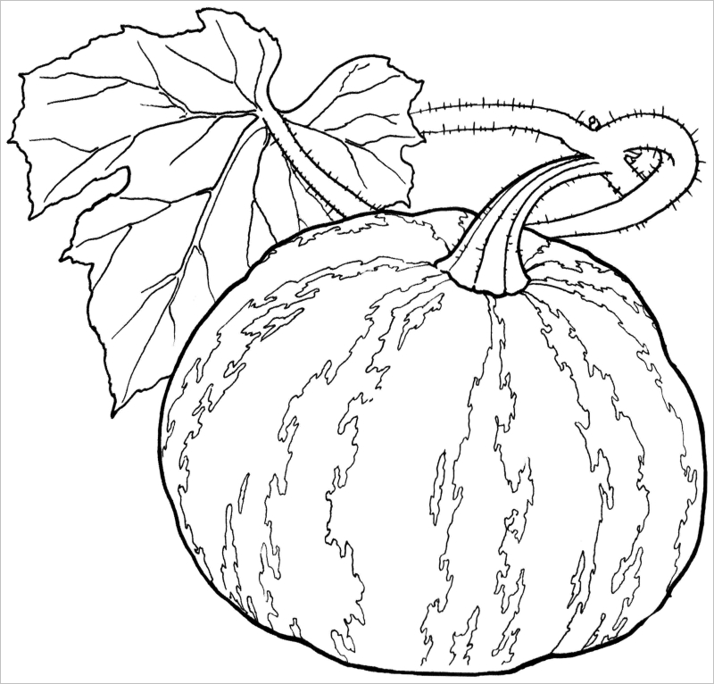 Tập tô màu cho trẻ mẫu giáo