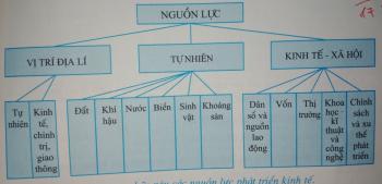Giải bài tập SGK Địa lý 10 bài 26: Cơ cấu nền kinh tế