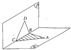 Phép chiếu song song. Hình biểu diễn của một hình không gian