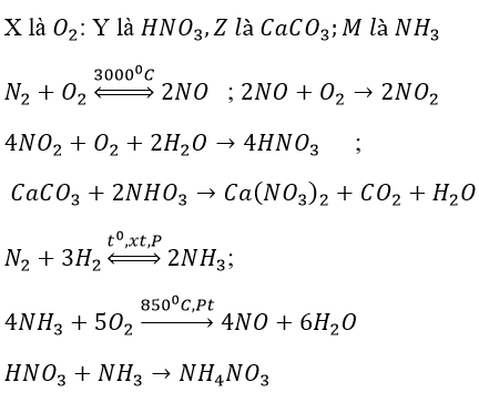 Giải bài tập Hóa 11 nâng cao bài 12