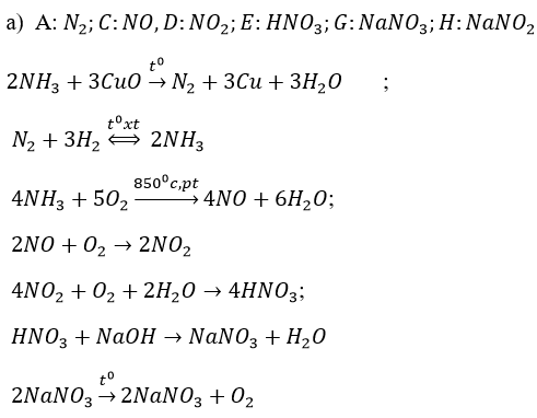 Giải bài tập Hóa 11 nâng cao bài 13