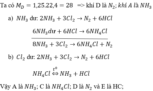 Giải bài tập Hóa 11 nâng cao bài 13