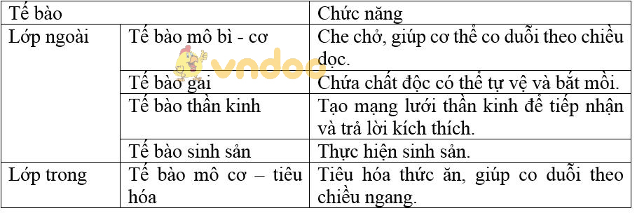 Giải bài tập SGK Sinh học 7 bài 8: Thủy tức