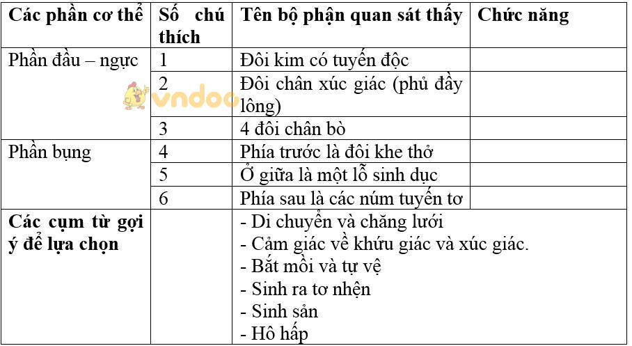 Giải bài tập SGK Sinh học 7 bài 25: Nhện và sự đa dạng của lớp hình nhện