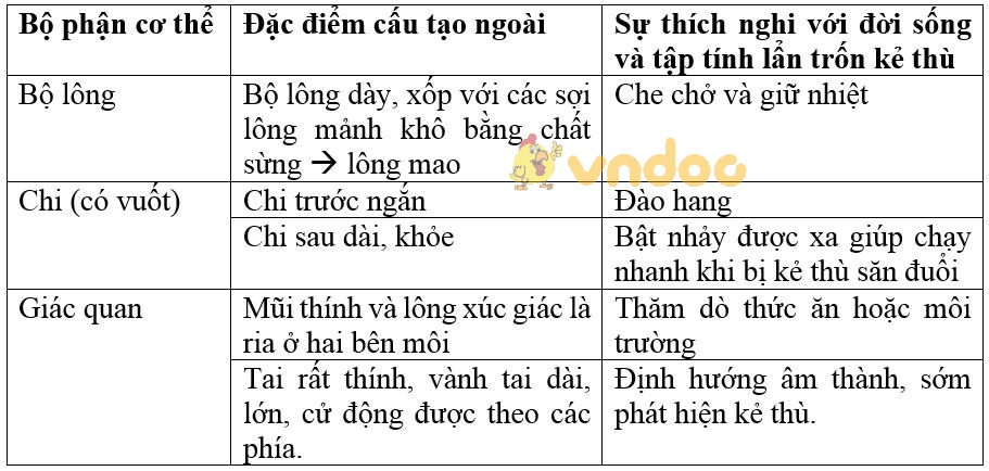 Giải bài tập SGK Sinh học 7 bài 46: Thỏ