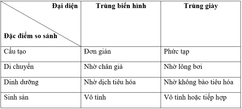 Giải bài tập VBT Sinh học 7 bài 5