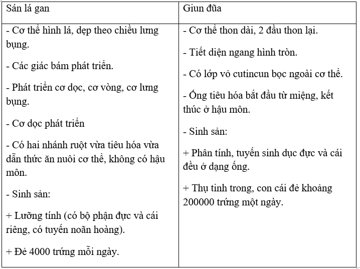 Giải bài tập VBT Sinh học 7 bài 13