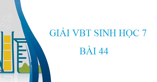 Giải Vbt Sinh Học 7 Bài 44 - Đa Dạng Và Đặc Điểm Chung Của Lớp Chim -  Vndoc.Com