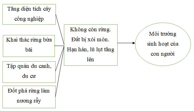 Giải Vở bài tập Địa lí lớp 4 bài 8