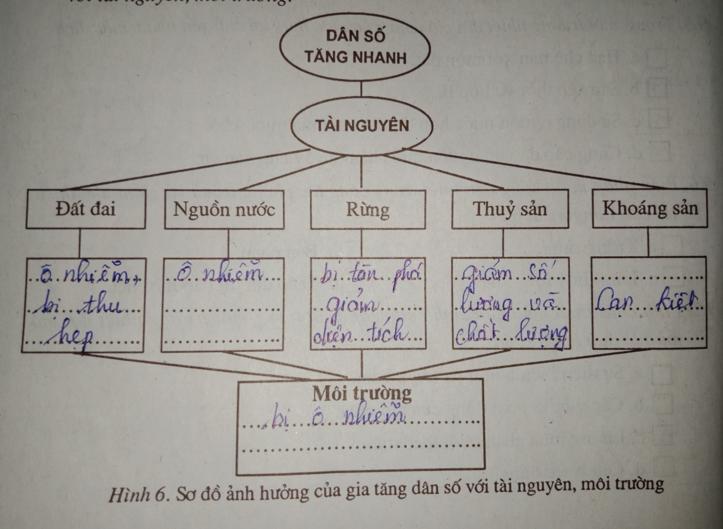 Giải vở bài tập Địa Lý 7 bài 10: Dân số và sức ép dân số tới tài nguyên, môi trường ở đới nóng