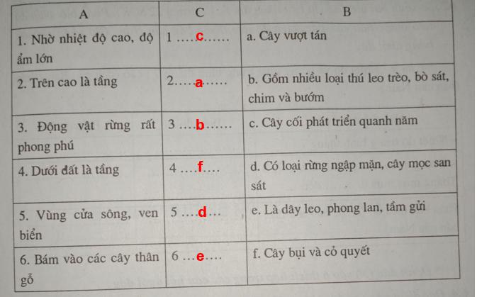 Giải vở bài tập Địa Lý 7 bài 5: Đới nóng. Môi trường xích đạo ẩm
