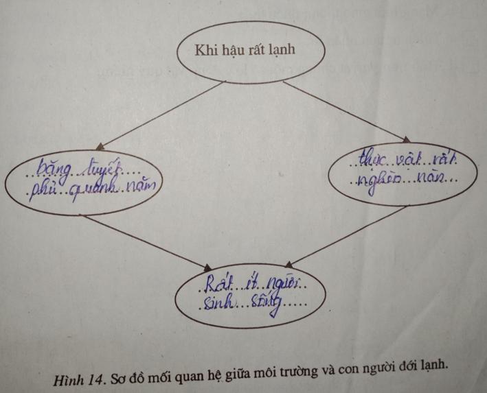 Giải vở bài tập Địa Lý 7 bài 22: Hoạt động kinh tế của con người ở đới lạnh
