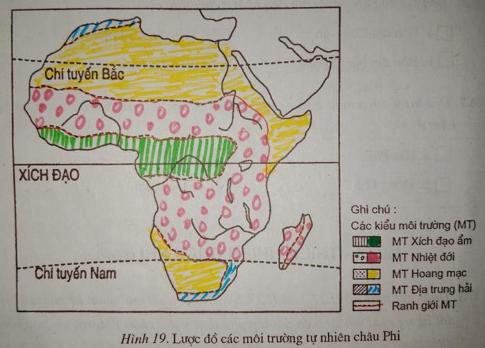 Giải vở bài tập Địa Lý 7 bài 27: Thiên nhiên châu Phi (tiếp theo)