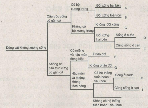 Giải bài tập SBT Sinh học 10 trang 115