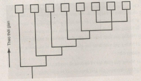 Giải bài tập SBT Sinh học 10 trang 5
