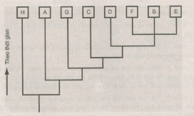 Giải bài tập SBT Sinh học 10 trang 5