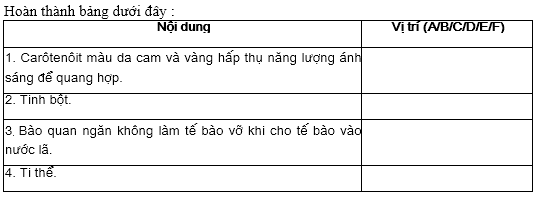 Giải bài tập SBT Sinh học 10 trang 5