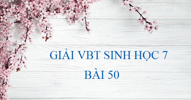 Giải Bài Tập Vbt Sinh Học 7 Bài 50 - Đa Dạng Của Lớp Thú Bộ Ăn Sâu Bọ, Bộ  Gặm Nhấm, Bộ Ăn Thịt - Vndoc.Com