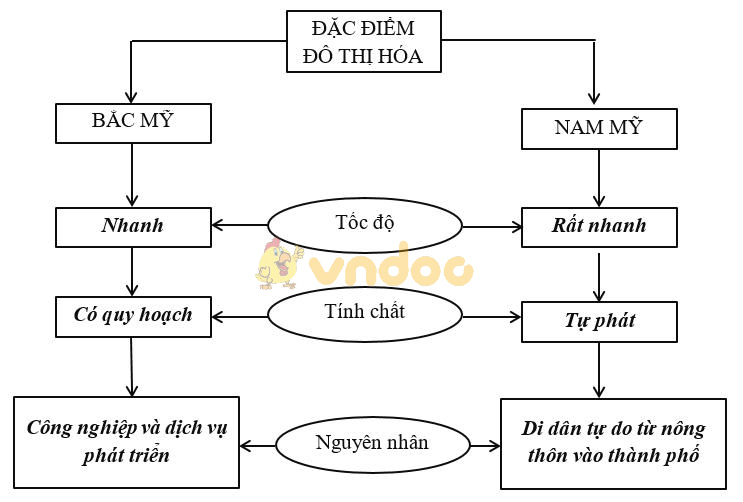 Giải vở bài tập Địa Lý 7 bài 43: Dân cư xã hội Trung và Nam Mĩ