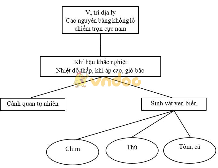 Giải vở bài tập Địa Lý 7 bài 47: Châu Nam Cực - Châu lục lạnh nhất thế giới