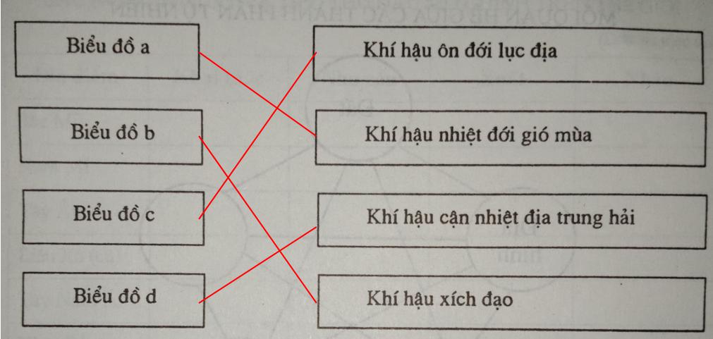 Giải vở bài tập Địa Lý 8 bài 20: Khí hậu và cảnh quan trên Trái Đất