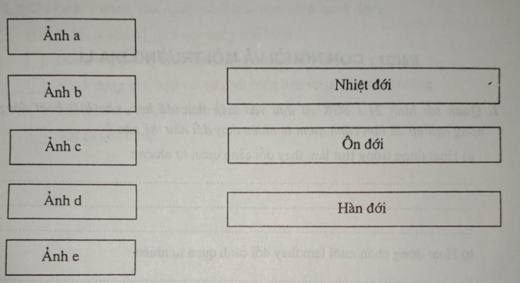 Giải vở bài tập Địa Lý 8 bài 20: Khí hậu và cảnh quan trên Trái Đất